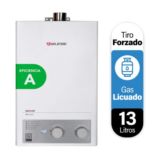 13 LITROS MASTER TIRO FORZADO GAS LICUADO (SIN KIT)