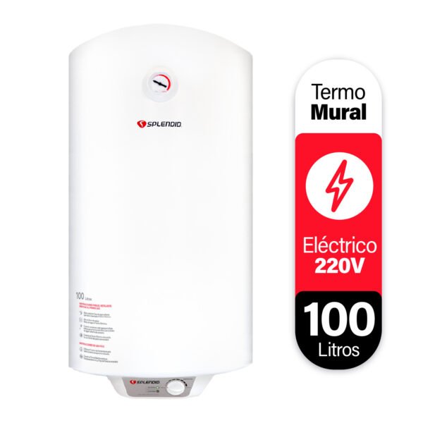 TERMO ELECTRICO 100 LITROS MURAL (NUEVO)