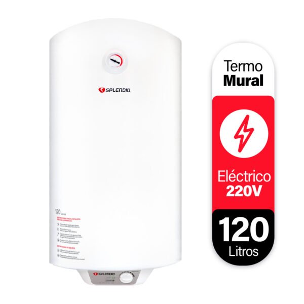 TERMO ELECTRICO 120 LITROS MURAL (NUEVO)