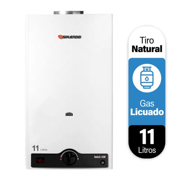 11 LITROS MASTER GAS LICUADO